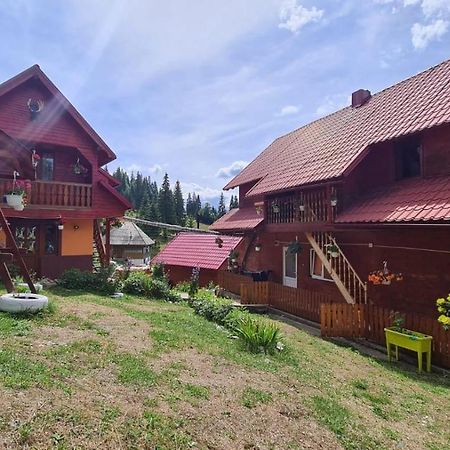 Cabana Cret Ocoale Экстерьер фото