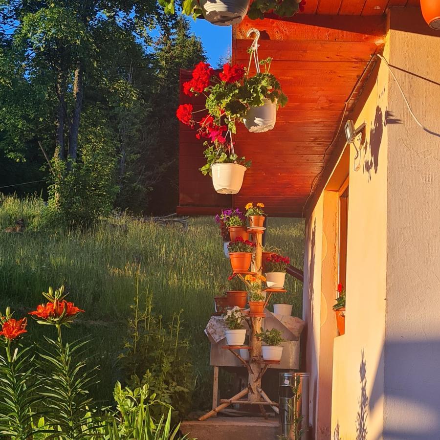 Cabana Cret Ocoale Экстерьер фото
